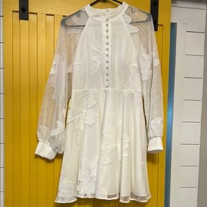 Elegant White Sheer Dress